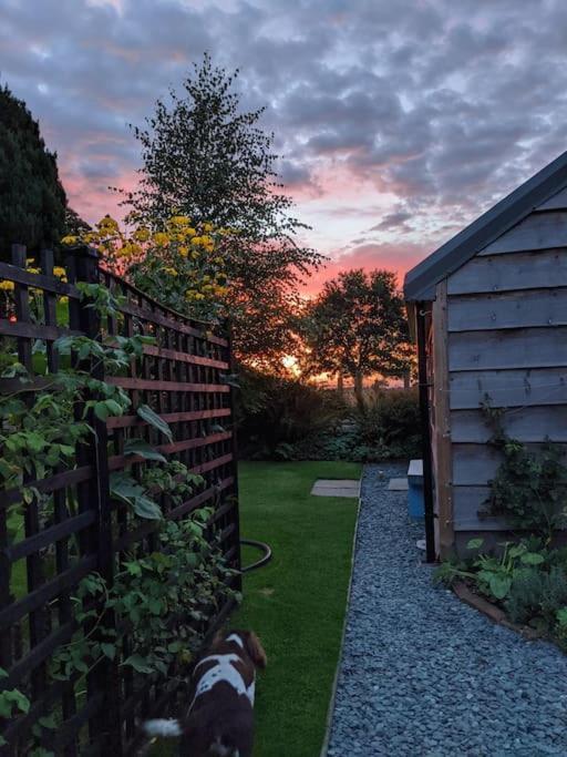 La'Al Cabin, Tiny Home, Unique Space Eden Valley Cumbria Brampton  Exterior photo